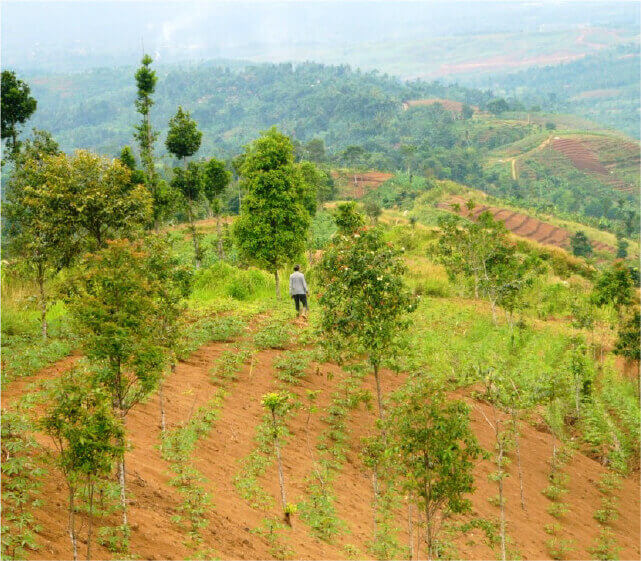 Indonesia West Java